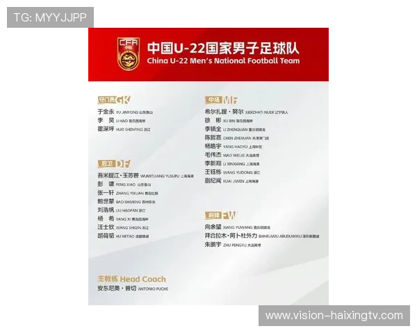 中国足球男球星最新名单及阵容解析全面呈现